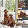 imageMuddy Mat 2Piece Set ASSEENONTV Highly Absorbent Microfiber Dog Door Mat and Pet Rug Non Slip Thick Washable Area Mat Soft Chenille for Kitchen Bathroom Bedroom and Outdoor Brown Small ampamp Medium