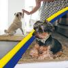 imageMuddy Mat 2Piece Set ASSEENONTV Highly Absorbent Microfiber Door Mat and Pet Rug Non Slip Thick Washable Area Mat Soft Chenille for Kitchen Bathroom Bedroom and Outdoor  Grey Small ampamp Medium