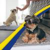 imageMuddy Mat 4Piece Atlantic Blue Medium 30quotX19quot ASSEENONTV Highly Absorbent Microfiber Door Mat Bath Mat and Pet Rug Non Slip Thick Washable Soft Chenille for Kitchen Bedroom Indoor and OutdoorGrey
