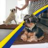 imageMuddy Mat 4Piece Atlantic Blue Medium 30quotX19quot ASSEENONTV Highly Absorbent Microfiber Door Mat Bath Mat and Pet Rug Non Slip Thick Washable Soft Chenille for Kitchen Bedroom Indoor and OutdoorChocolate Brown