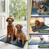 imageMuddy Mat 4Piece Atlantic Blue Medium 30quotX19quot ASSEENONTV Highly Absorbent Microfiber Door Mat Bath Mat and Pet Rug Non Slip Thick Washable Soft Chenille for Kitchen Bedroom Indoor and OutdoorAtlantic Blue