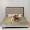 imageMuddy Mat Dog Blanket  Chenille Water Absorption Blanket for Bed ampamp Couch Cover for Dogs Washable AntiSlip Soft and Durable Furniture Protector for Dogs  Grey 48quotx56quotBeige