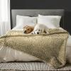imageMuddy Mat Dog Blanket  Chenille Water Absorption Blanket for Bed ampamp Couch Cover for Dogs Washable AntiSlip Soft and Durable Furniture Protector for Dogs  Grey 48quotx56quotBeige