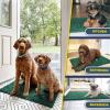 imageMuddy Mat Pack of 5 Absorbent Microfiber Door Mat and Pet Rug Non Slip Thick Washable Area and Bath Mat Soft Chenille for Kitchen Bathroom Bedroom Indoor and Outdoor  Dark Green Sizes S to XXL