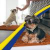 imageMuddy Mat Pack of 5 Highly Absorbent Microfiber Door Mat and Pet Rug Non Slip Thick Washable Area and Bath Mat Soft Chenille for Kitchen Bathroom Bedroom Indoor and Outdoor  Orange Sizes S to XXL