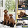 imageMuddy Mat Pack of 5 Highly Absorbent Microfiber Door Mat and Pet Rug Non Slip Thick Washable Area and Bath Mat Soft Chenille for Kitchen Bathroom Bedroom Indoor and Outdoor  Black Sizes S to XXL