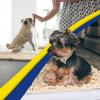 imageMuddy Mat Pack of 5 Highly Absorbent Microfiber Door Mat and Pet Rug Non Slip Thick Washable Area and Bath Mat Soft Chenille for Kitchen Bathroom Bedroom Indoor and Outdoor  Beige Sizes S to XXL