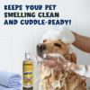 imageMuddy Mat Wizz Paw Foam  Pet Shampoo  NoRinse Paw Cleaner for Dogs Large ampamp Small ampamp Aloe Vera ampamp Oatmeal Dog Shampoo for Itchy Skin Relief Smelly Dogs ampamp Sensitive Coats  7 fl oz  17 oz